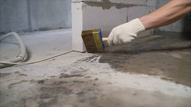 SJ Waterproofing Pros Exterior Waterproofing coverage map for Leo, IN and surrounding area